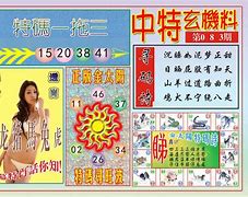 老奥2024开奖记录,资深解答解释落实_特别款72.21127.13.