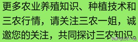 内部资料三码中特