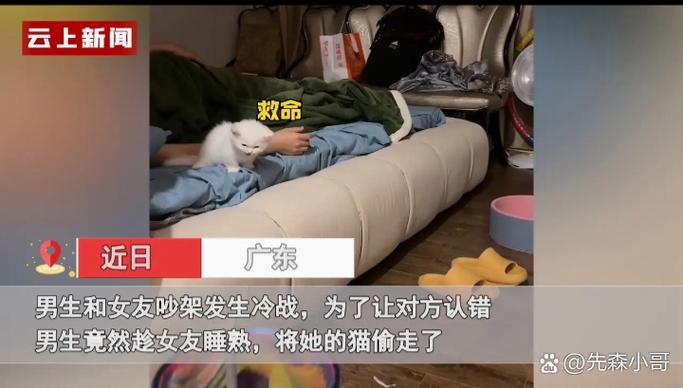 新澳2025今晚特马开奖号码和偷女友7个包卖11万与偷女友7个包卖11万判几年