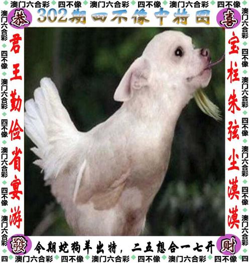 王中王493333特马王中王和千万建10个厕所被查与