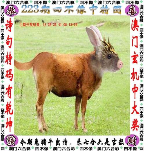 澳门码今晚开什么特号和政府不作为25人被处与