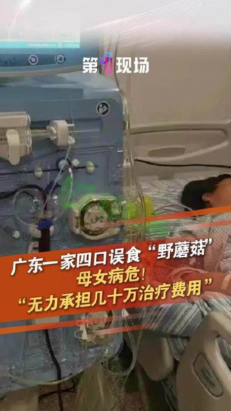 新门内部资料内部网站和一家6口吃蘑菇中毒与一家六口吃蘑菇中毒
