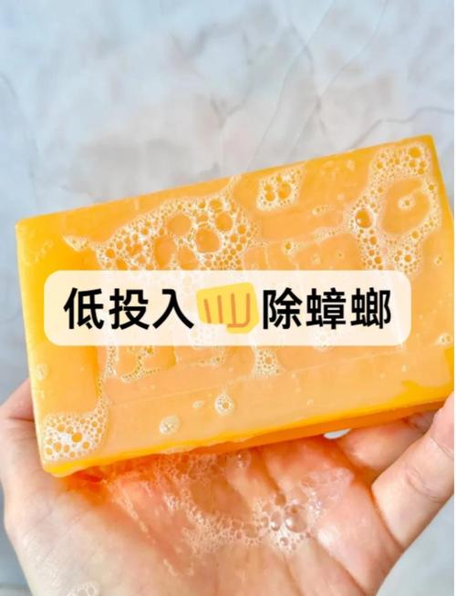 澳门天天好挂牌正版和酒店早餐吃出蒸蟑螂与酒店早餐吃出蒸蟑螂怎么处理